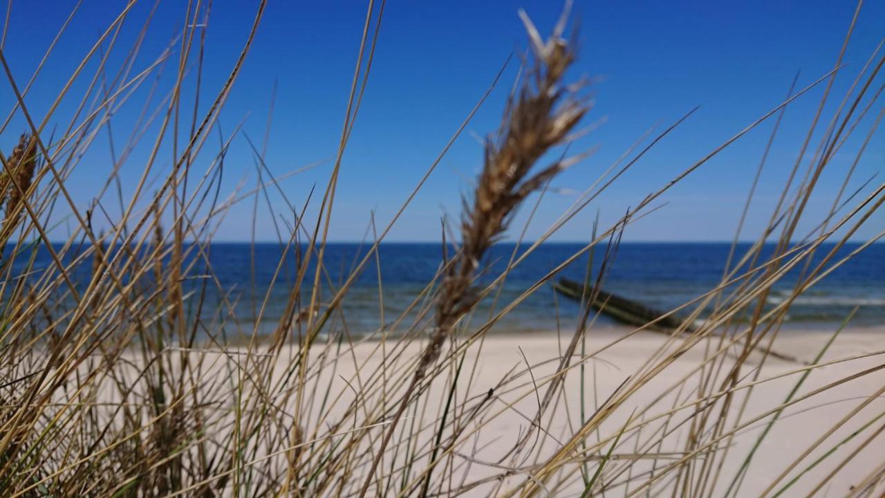Duneshellter Rogowo Rogowo  Exterior foto